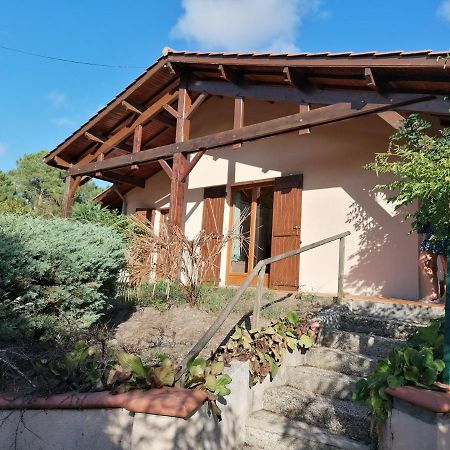 Maison Au Dessus Du Lac De Biscarrosse Buitenkant foto