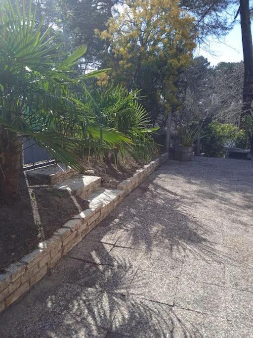 Maison Au Dessus Du Lac De Biscarrosse Buitenkant foto